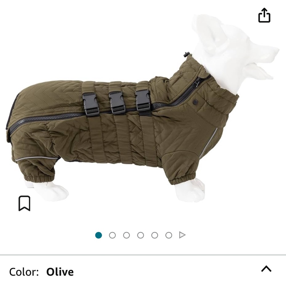 Dog coat